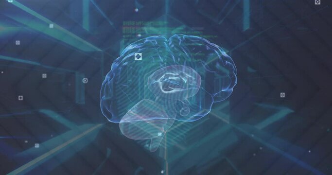 Animation of data processing and rotating brain in tunnel on dark background