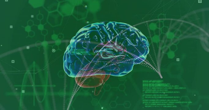 Animation of rotating brain over medical data processing on green background