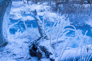Snow covered creek in forest
