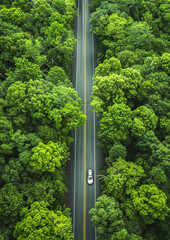 Aerial view of car travels through the calm forest road