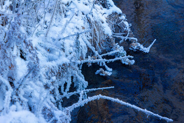 Snow covered creek in forest