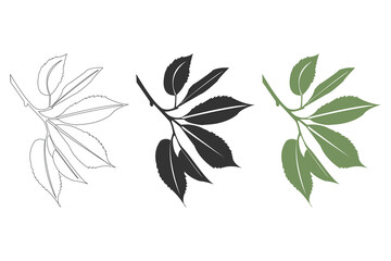 Leaves branch vector illustration. Leaf icon black vector isolated on white background.