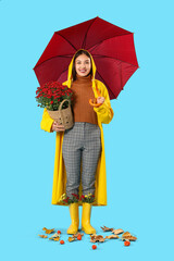Young Asian woman with umbrella and chrysanthemum flowers on blue background