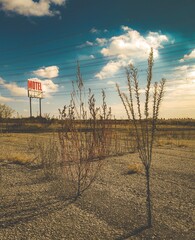 Abandoned sign from an old motel looms over a weed choked vacant lot.  