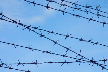 Barbed wire. Barbed wire on fence with blue sky	
