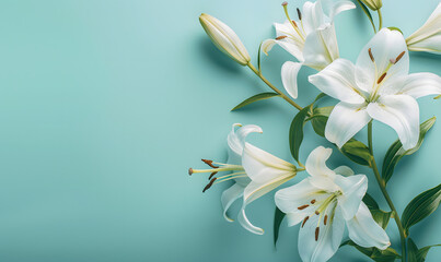 Fototapeta na wymiar Fresh white lilies on pastel menthe light blue background, Generative AI 