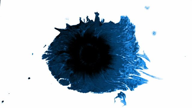 Splashes and spots of blue cobalt ink spreading on white background. Motion graphic