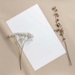 white blank paper with flower