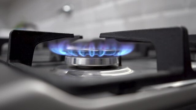 Primer plano de hornalla de estufa a gas natural con llama azul 