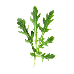 Obraz premium Photo of arugula leaves Isolated on transparent background