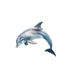 Fototapeta premium Photo of dolphin isolated on transparent background