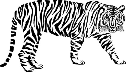 Fototapeta na wymiar tiger illustration icon, 호랑이 일러스트 아이콘