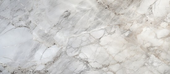 A detailed view of a white marble surface with intricate veining and subtle grey tones. The high resolution image showcases the texture and elegance of Italian grey effect marble,