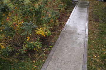 wet tiled pathway