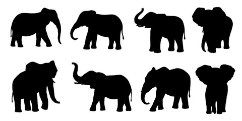 Elephant vector silhouette set isolated on white background. African animals - obrazy, fototapety, plakaty