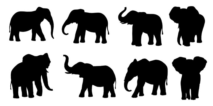 Elephant vector silhouette set isolated on white background. African animals