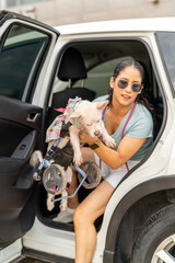 Woman Helping Disabled Dog into Car for a Ride