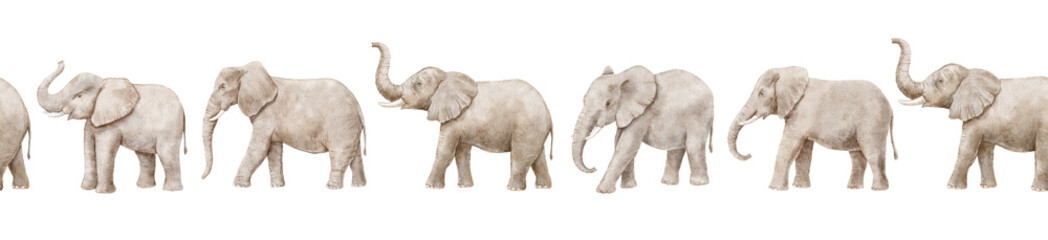 Obraz premium Seamless repeat border with watercolor realistic elephants isolated
