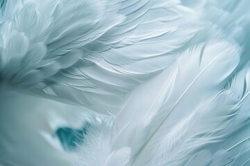 Fototapeta na wymiar Close-up of white feathers on a background Evoking a sense of peace Spirituality And connection with the divine for inspirational and religious themes