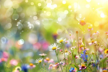 Badkamer foto achterwand Colorful flower meadow under bright sunlight with soft bokeh lights Creating a dreamy and vibrant summer landscape Ideal for nature and seasonal themes. © Bijac