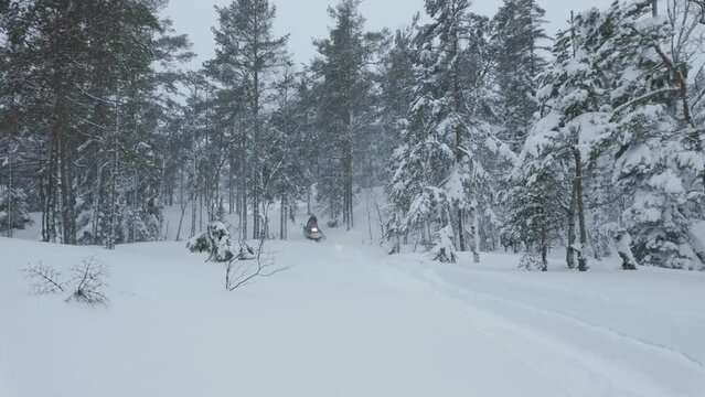 Snowmobile Ride Over Winterly Forest With Heavy Snowfall. Wide Shot