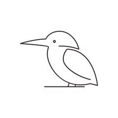 line kingfisher icon logo vector