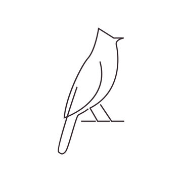 recommend clip art: cardinal art line icon logo vector