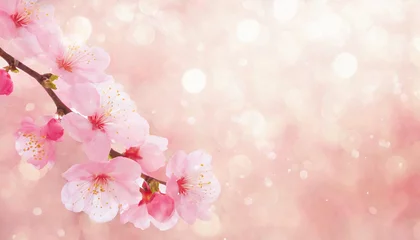 Foto op Plexiglas 桜,さくら,sakura,花見,春,入学式,卒業式,花,素材 © NOMO DESIGN