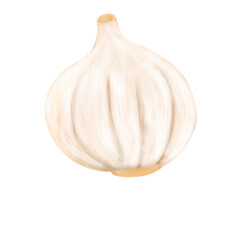 garlic isolated on white background