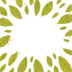 Ilustración marco hojas verdes de árbol en el centro sin fondo, fondo transparente del día de la primavera 21 de marzo comienzo de la primavera, marco decorativo de hojas de árbol verdes naturaleza