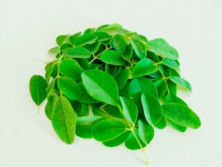 Moringa plant leaves moringaoleifera tree leaves of drumsticktree horseradishbranch ben oil benzolive sltree plantpart suhanjana pata closeup image stock photo