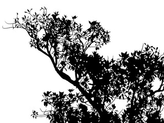 ramas, arboles, siluetas, vegetacion, roble, bosque, paisaje, vector, hojas, abstracto, sauce, tronco, malesa, pegatina