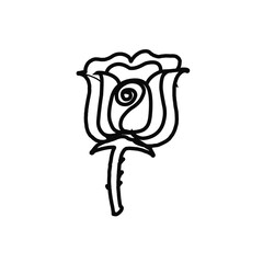 illustration of a rose