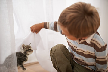 Playing, happiness and boy with cat in home on weekend, excited and bonding with love for domestic...
