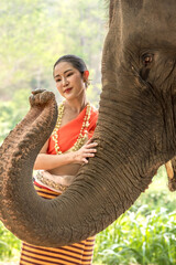Thai woman in indigo costume feeling happy with friendly Asian elephant in elephant sanctuary,...