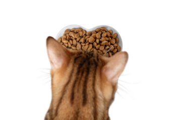 Dry cat food on a transparent background.