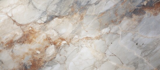 This close-up view showcases a high-resolution Italian marble slab countertop.