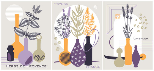 Collage-style Provence herbs poster set. Herbal plant, sketch, hand drawn vector illustrations. For cosmetics packaging, perfumery labels, soap or candle making. NOT AI generated - obrazy, fototapety, plakaty