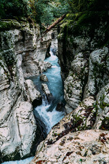 White Rock Canyon: Jungle and Mountain Forest Hiking, Khosta River Along Cliffs