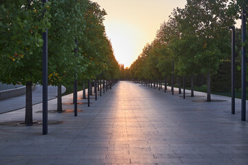 A park area in the city for evening walks. The season is autumn