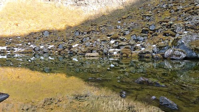 Botnstjorn Pond water reflection and mossy boulders in Asbyrgi Iceland