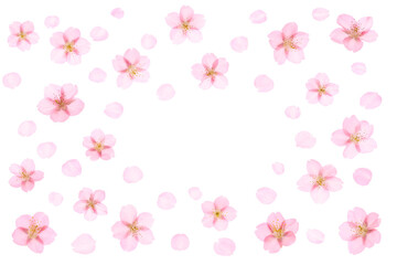 ピンクの桜の花のグラフィック素材 - 747795766