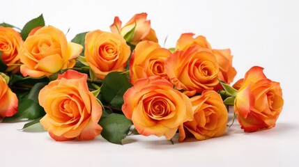 Beautifull and fresh orange roses isolated on white background.