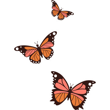 Flat Butterflies Flying Illustration