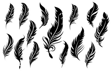 Black fluffy feather. Hand drawing vintage art realistic quill feathers for pen detailed isolated vector elegant silhouette sketch bird plume set - obrazy, fototapety, plakaty