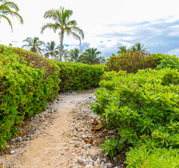 Fototapeta na wymiar Hiking Trail Along The Shore of Anaehoʻomalu Bay, Hawaii Island, Hawaii, USA