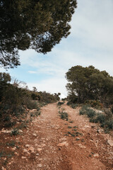path in the mountains