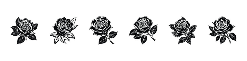 Hand-drawn rose flower collection, beautiful monochrome black and white bouquet rose isolated on background. Rose vector set by hand drawing. botanical rose set. Engraved collection.