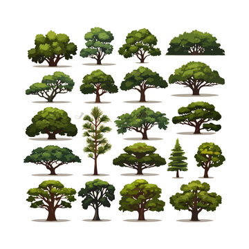 trees flat vector illustrations set. Exotic plants isolated design elements pack collection on white background.
