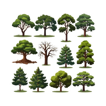 trees flat vector illustrations set. Exotic plants isolated design elements pack collection on white background.